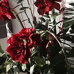 Vogesenblick Διαμέρισμα Mahlberg